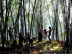 -铁山坪森林公园