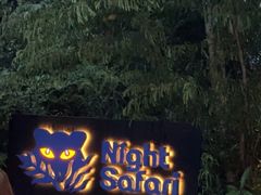 -夜间野生动物园