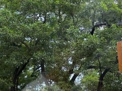 -顺风山庄(水濂山店)