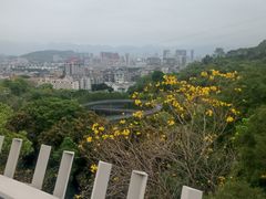 -福道