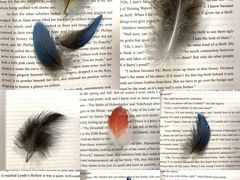 -鄂尔多斯野生动物园