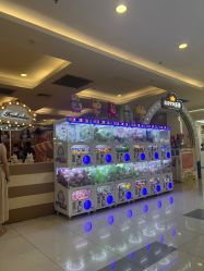 -KOTM游乐园(太阳宫凯德mall店)