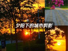 -白石龙音乐公园