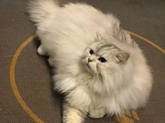 -老外街
