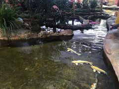 -鸿通城购物中心