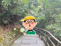 -鼎湖山风景区