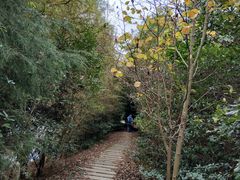 -上海海湾国家森林公园