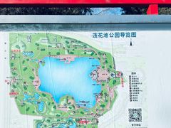 -莲花池公园