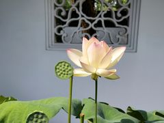 -南园(太仓市)