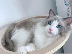 -酷宠动物医院(天通西苑店)