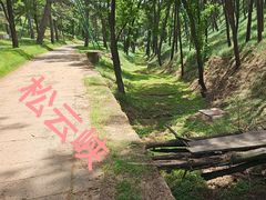 -磬锤峰森林公园