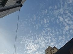 -平衡体检(友谊分院)