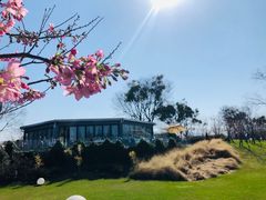 -福建鲤鱼洲酒店