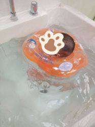 -艾薇朵朵全套房月子中心(江宁店)