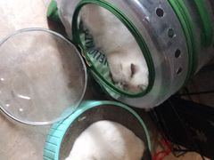 -奇门密室(五一新干线店)