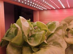 -满堂欢豆捞坊(美丽华大酒店店)