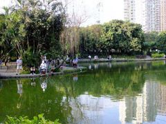 -四海公园(南山区)
