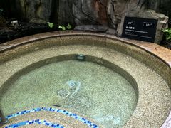 -海口观澜湖火山温泉谷