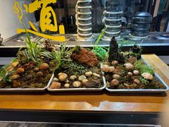 -福照楼汽锅鸡·云南菜(护国路店)