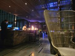 -四季酒店·空中花园 Aria on 9