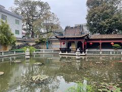 -碧江金楼