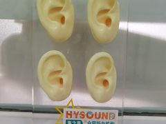 -海之声助听器(武宁南路店)