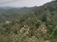 -马口生态公园