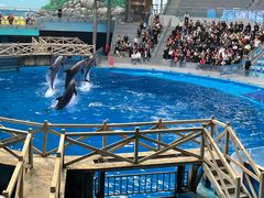 -海合安成都极地海洋公园