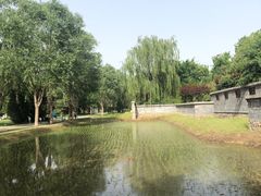 -北坞公园