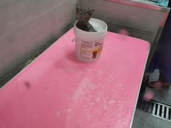 -宠福鑫康馨动物医院·骨科·眼科