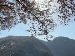 -少华山国家森林公园