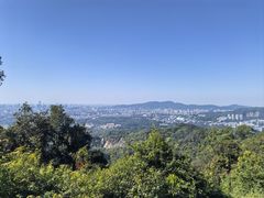 -火炉山森林公园