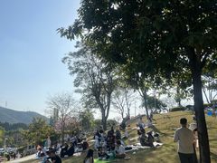 -白石龙音乐公园