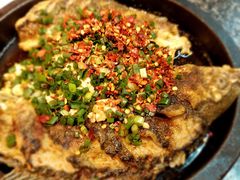 -聚鑫朋酸菜肥肠(文艺路口店)