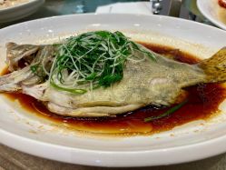 -苏州希尔顿酒店-宴会厅