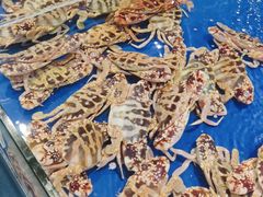 -阿浪海鲜连锁加工店(B栋2排1号火车头店)