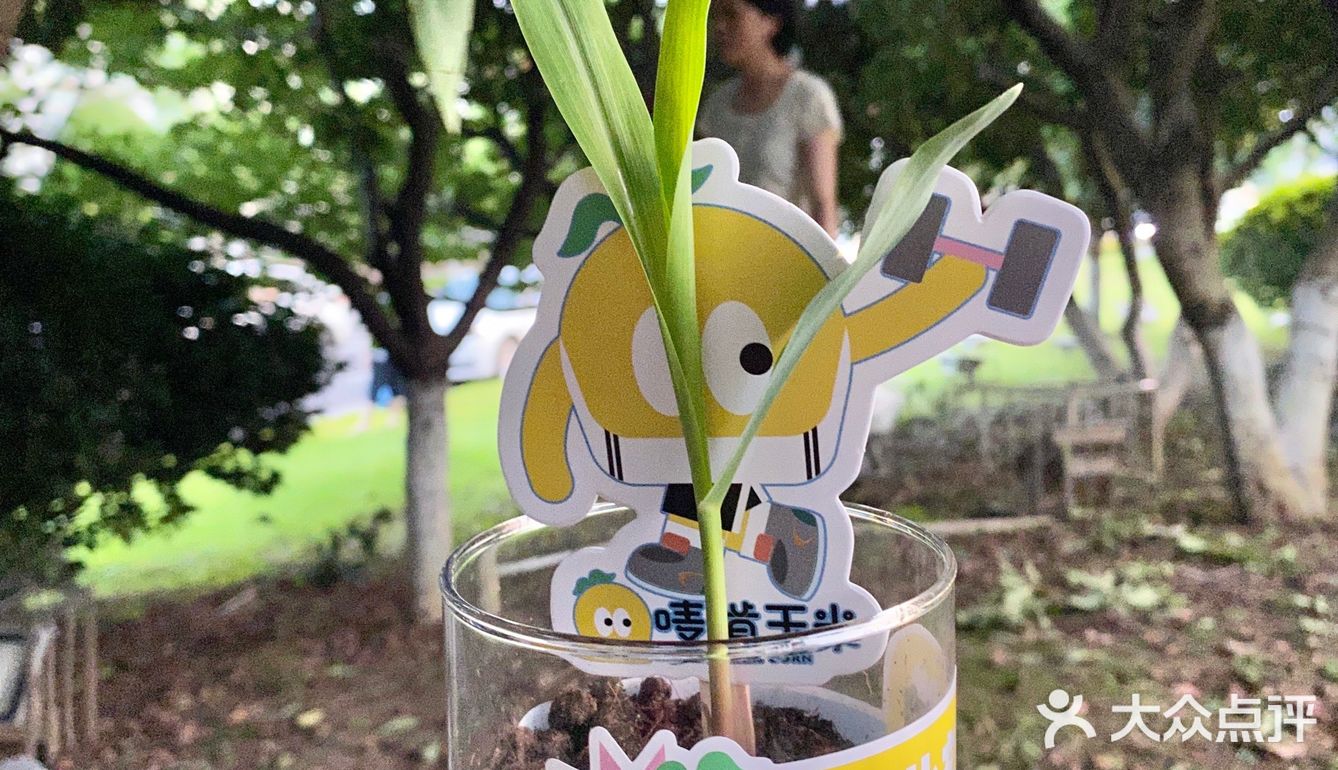 减肥突破平台期焦虑了‼️这个玉米不会胖还好吃