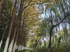 -杭州电子科技大学(下沙校区)