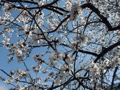 -吉林大学(南岭校区)