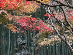 -西湖风景区十里琅珰-五云山