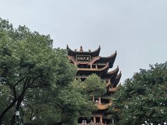 -黄鹤楼公园(黄鹤楼)