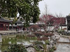 -檀园