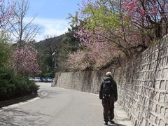 -北京鹫峰国家森林公园