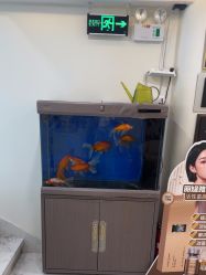 -海涛医疗美容·面部抗衰·注射美鼻