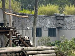 -柳州市动物园