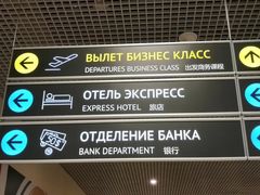 -谢列梅捷沃国际机场