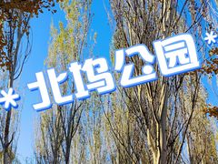 -北坞公园