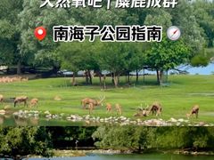 -南海子公园