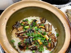 -红星光发煲仔饭(文海店)