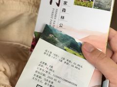 -广州市石门国家森林公园